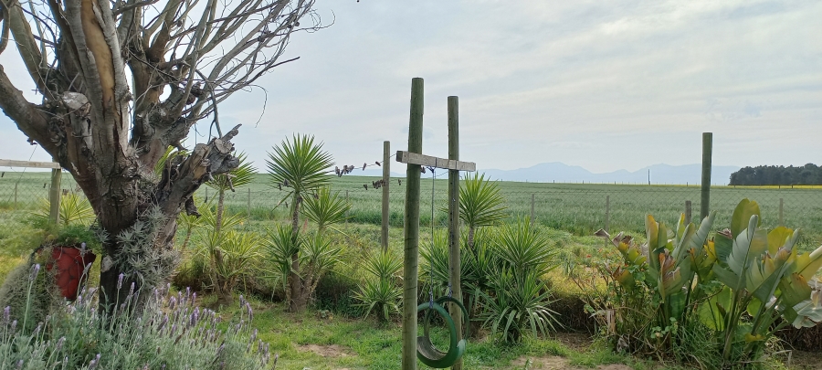 2 Bedroom Property for Sale in Theronville Western Cape